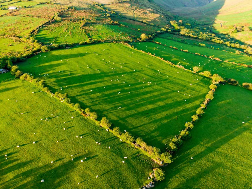 BOC Properties - Farm Land in Tipperary